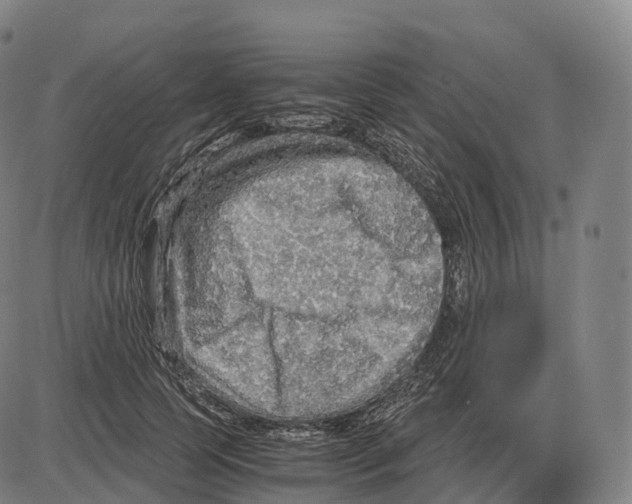 X0000083980745200703161556