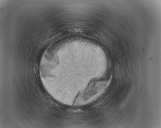 X0000083980747200703161556