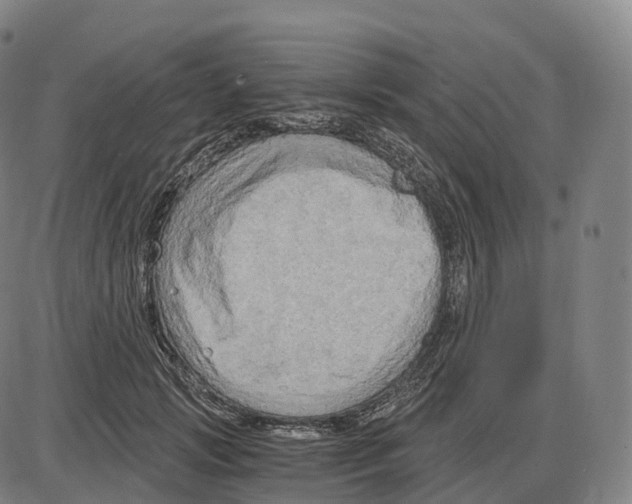 X0000083980749200703161556