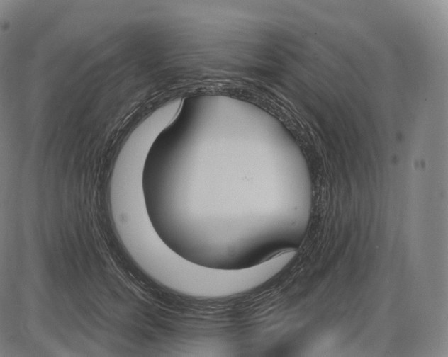 X0000083980750200703161556