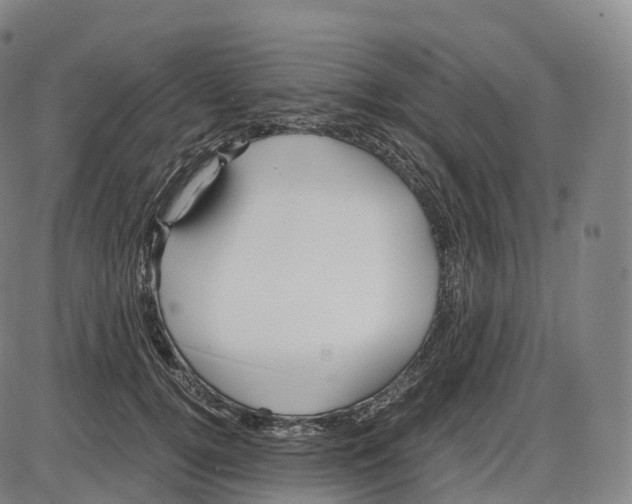 X0000083980752200703161556