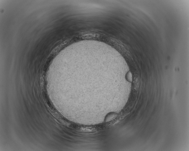 X0000083980753200703161556