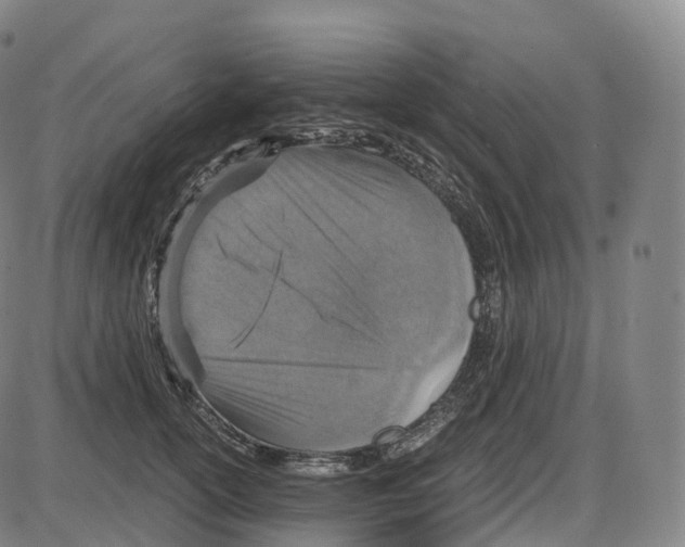 X0000083980754200703161556