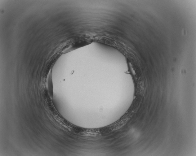 X0000083980756200703161556