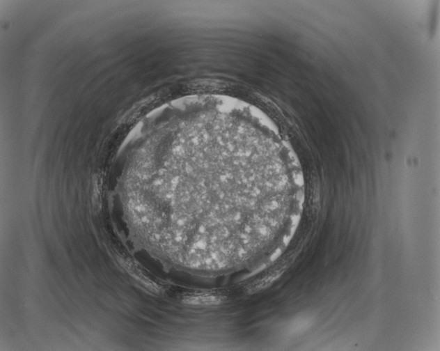 X0000083980759200703161557