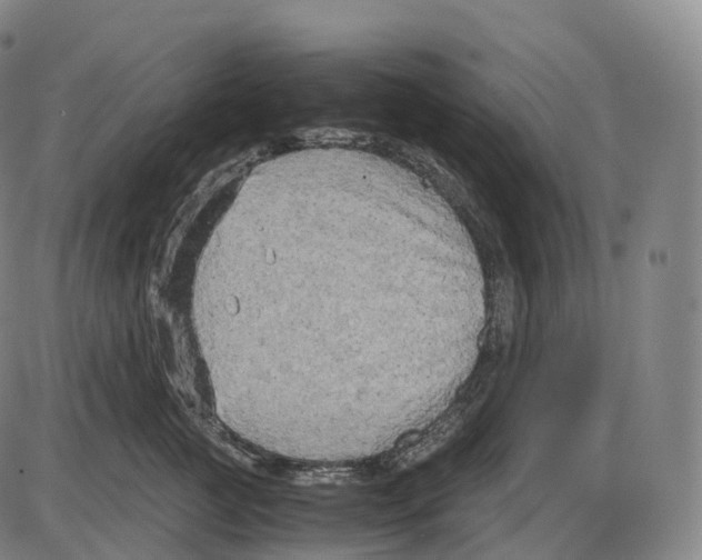 X0000083980761200703161557