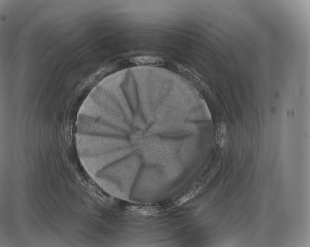 X0000083980763200703161557