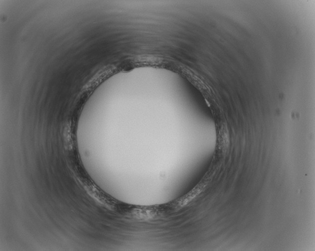 X0000083980764200703161557