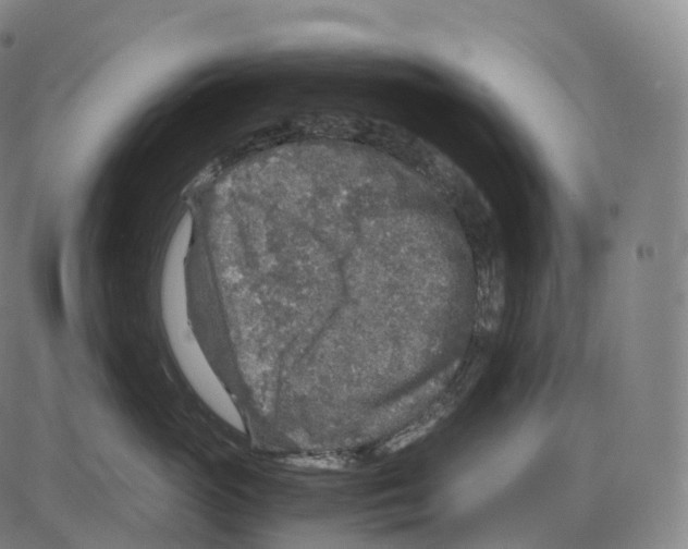 X0000083980765200703161557