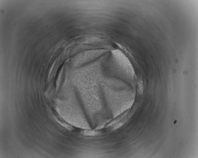 X0000083980766200703161557