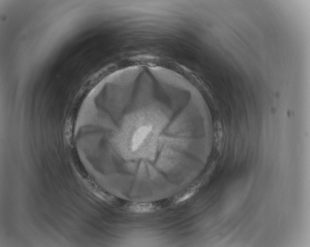 X0000083980767200703161557