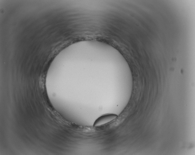 X0000083980768200703161557