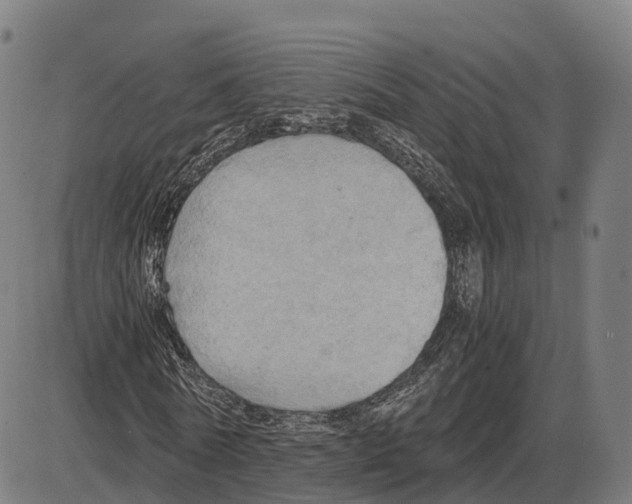 X0000083980770200703161556