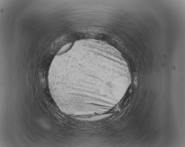 X0000083980771200703161556