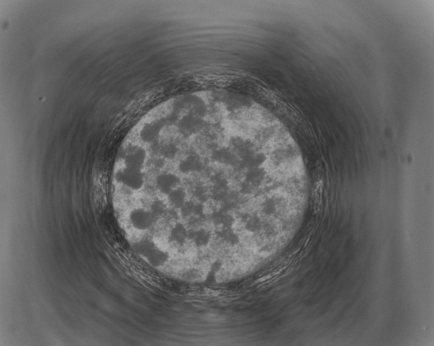 X0000083980772200703161556