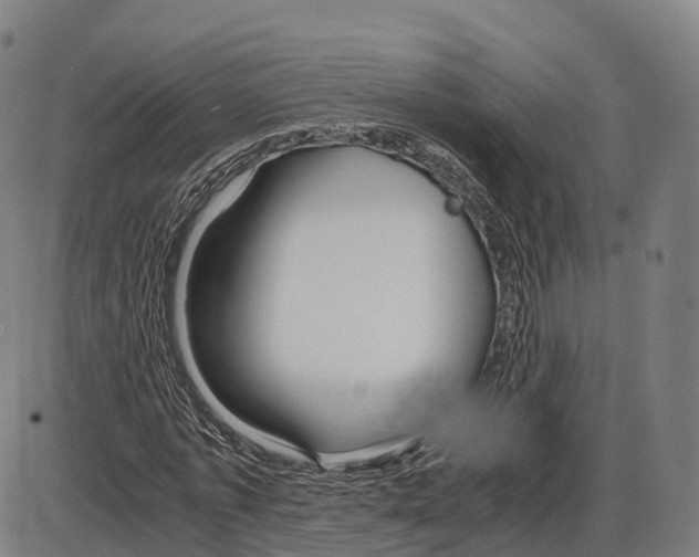 X0000083980773200703161556