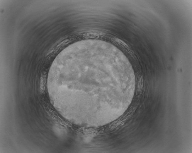 X0000083980774200703161556