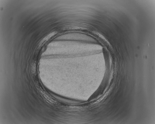 X0000083980777200703161556