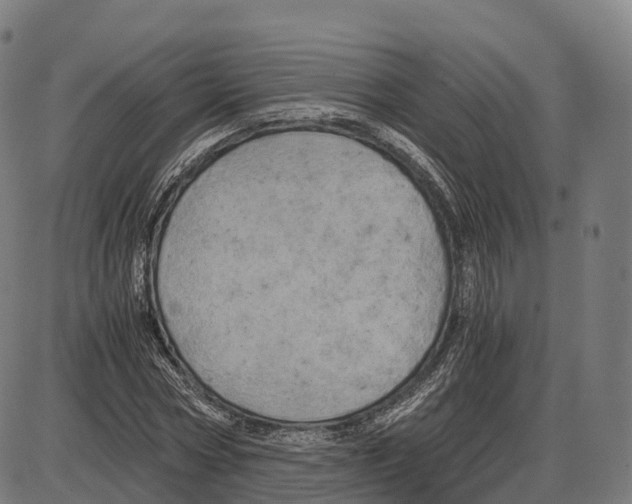 X0000083980778200703161556