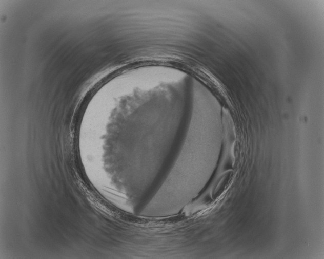 X0000083980779200703161556