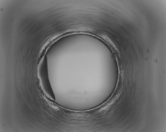 X0000083980781200703161556