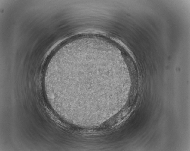 X0000083980783200703161556