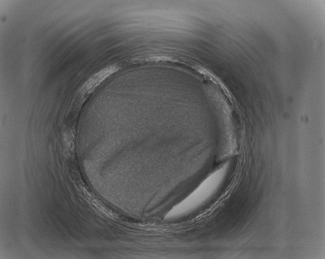 X0000083980785200703161556