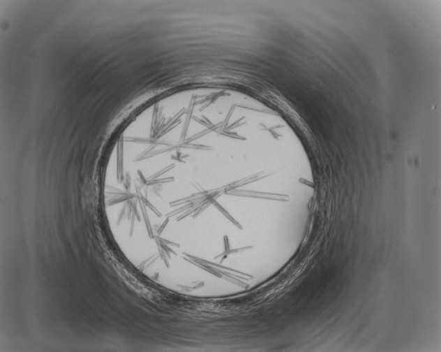X0000083980787200703161556