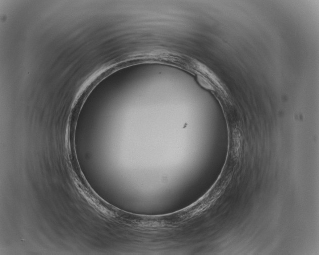 X0000083980788200703161556