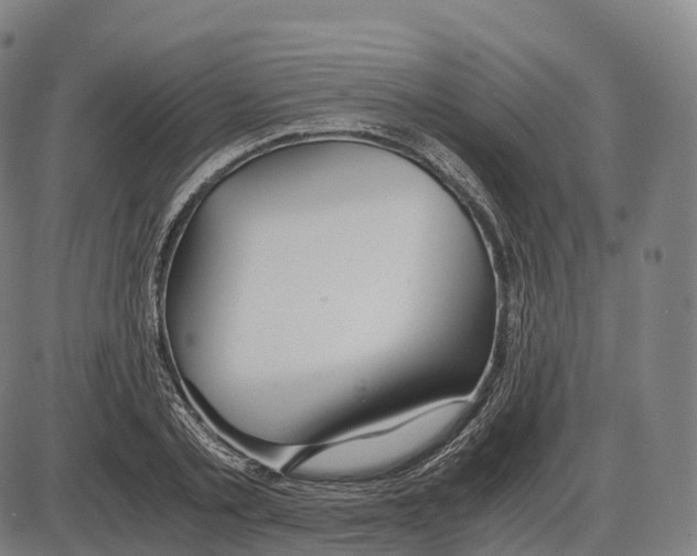 X0000083980789200703161556