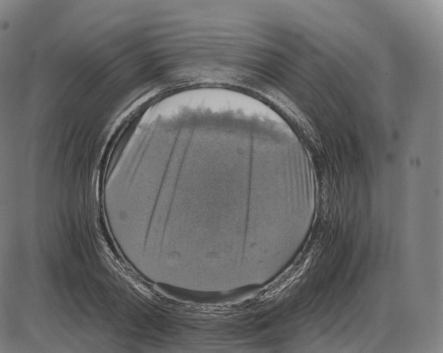 X0000083980790200703161556