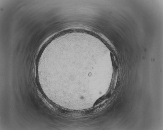 X0000083980791200703161556