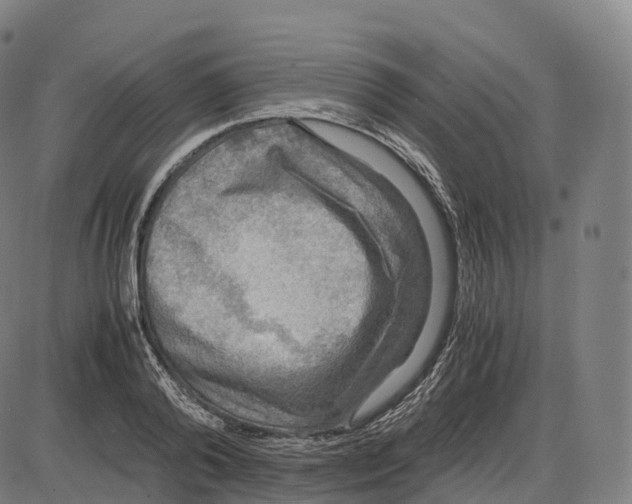 X0000083980792200703161556