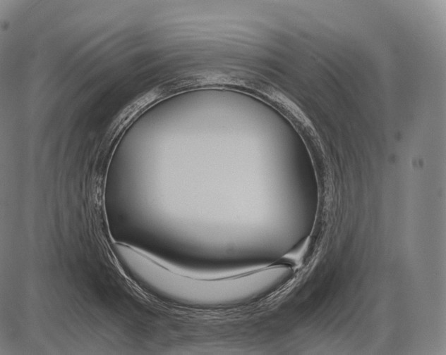 X0000083980793200703161556