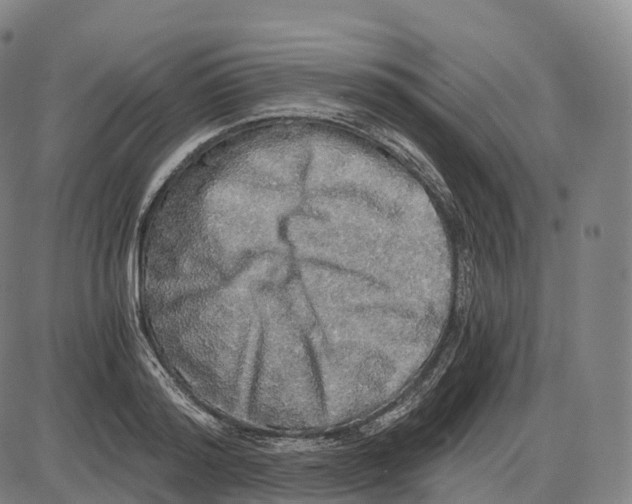 X0000083980796200703161555