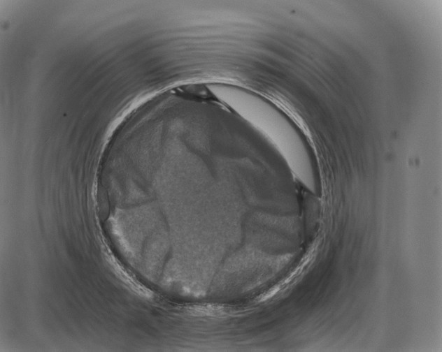 X0000083980797200703161555