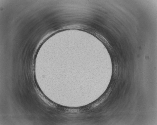 X0000083980800200703161555