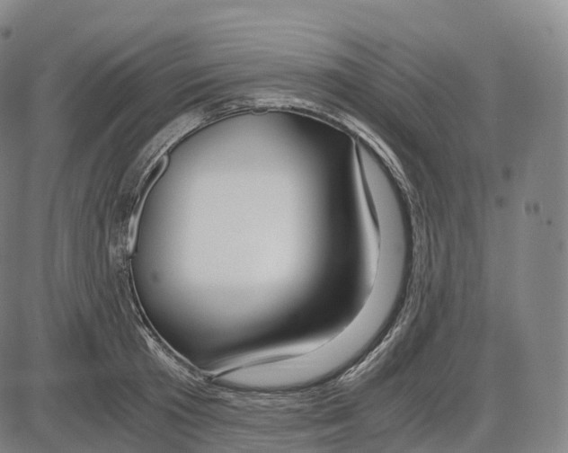 X0000083980801200703161555