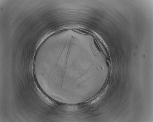 X0000083980802200703161555