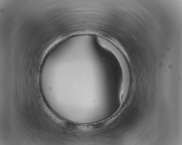 X0000083980805200703161555