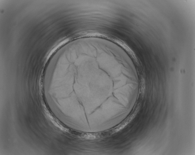 X0000083980806200703161555