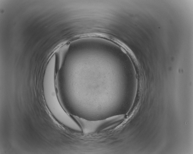 X0000083980809200703161555