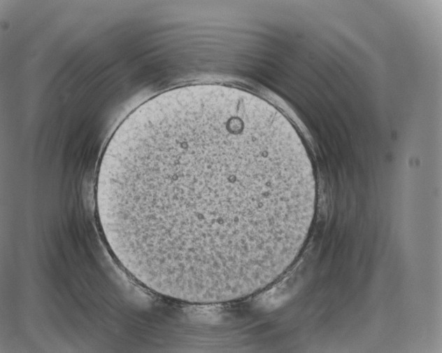 X0000083980810200703161555