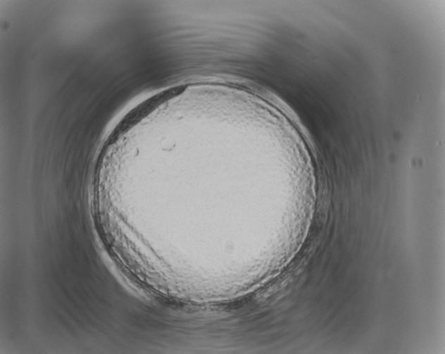 X0000083980811200703161555