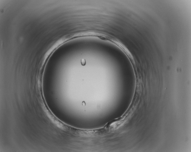 X0000083980813200703161555