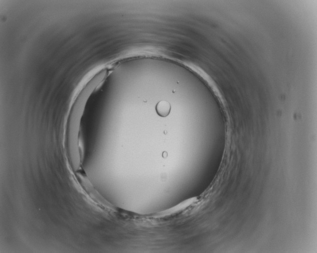 X0000083980815200703161555