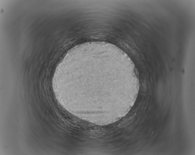 X0000083980817200703161554