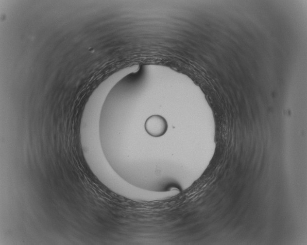 X0000083980818200703161554