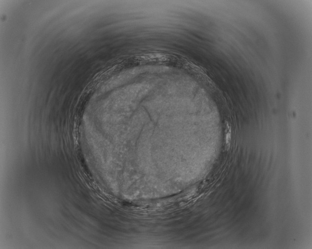 X0000083980819200703161554