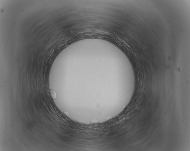 X0000083980820200703161554